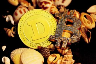 Demystifying Digital Wealth: A Beginner's Guide to Crypto Assets