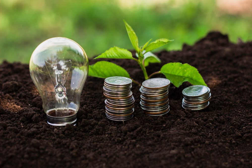 Sector Spotlights for Sustainable Investors