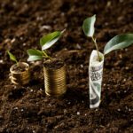 The Future of Sustainable Investing: Profit Meets Responsibility