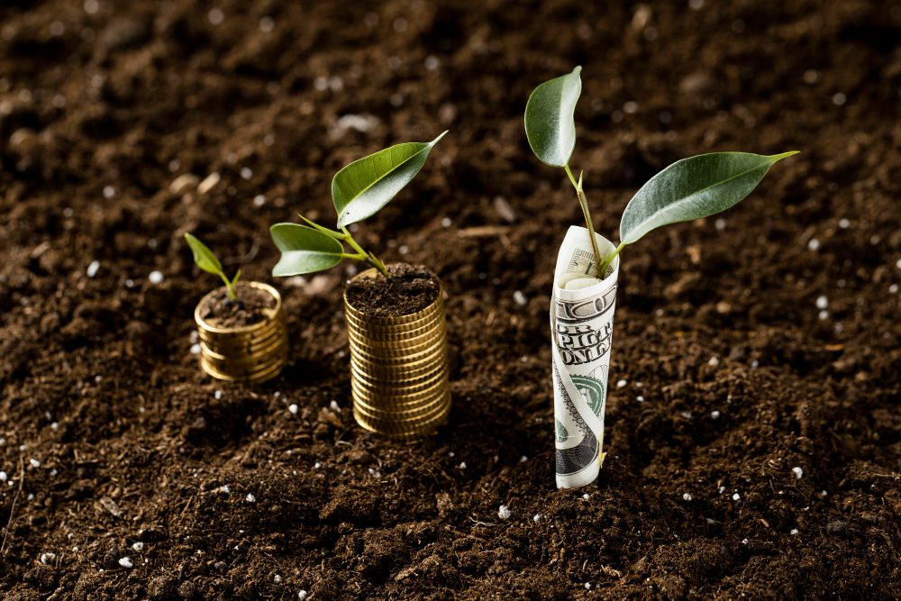 The Future of Sustainable Investing: Profit Meets Responsibility